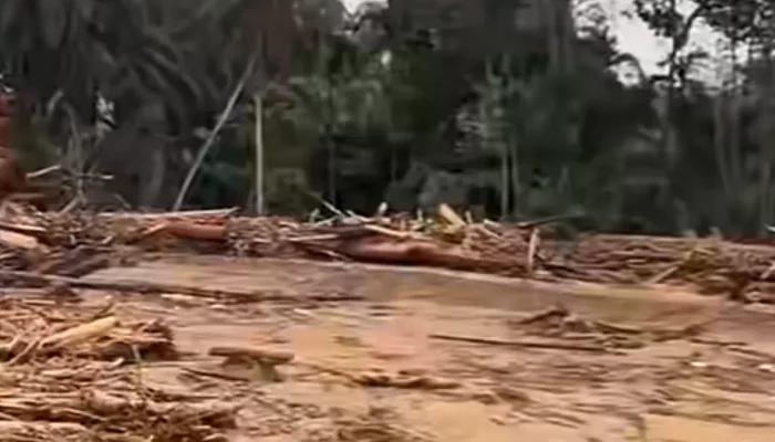 Kerusakan Batang Toru Diungkap, Pemerintah Telusuri Akar Bencana Banjir Sumut