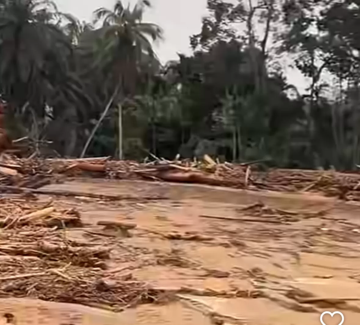 Kerusakan Alam di Batang Toru