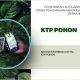 KTP Pohon