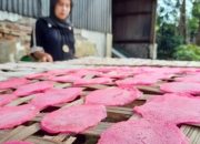 Awal Mula Penamaan Kerupuk RO
