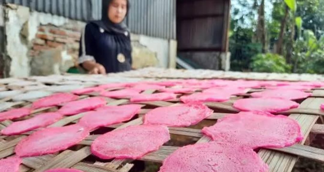 Proses Penjemuran Kerupuk RO