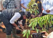 30 Ribu Pohon Serentak di Tanam di Sumedang, Tiap Desa Berpartisipasi