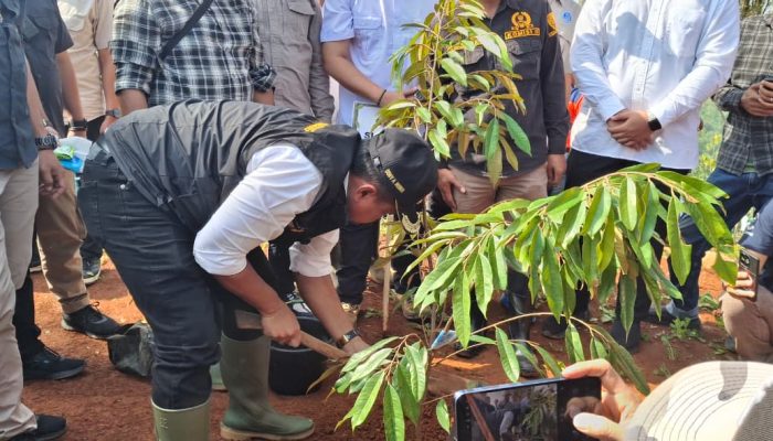 30 Ribu Pohon Serentak di Tanam di Sumedang, Tiap Desa Berpartisipasi