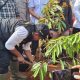Peresmian Program Penanaman 30.000 Pohon