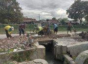 Pintu Air Jebol, Petani Jayakerta Patungan Selamatkan Ratusan Hektare Sawah