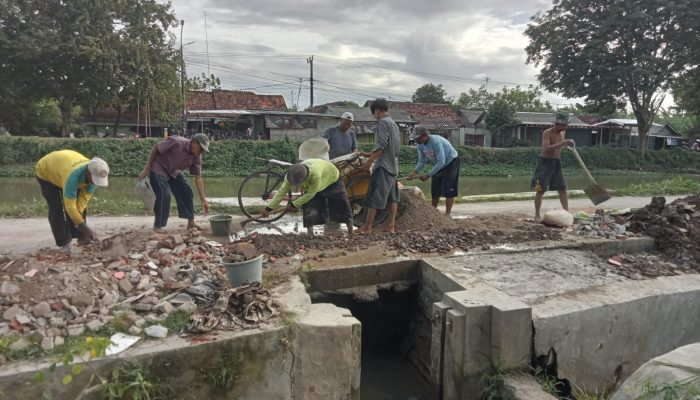 Pintu Air Jebol, Petani Jayakerta Patungan Selamatkan Ratusan Hektare Sawah