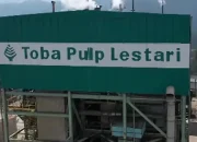 Profil dan Kepemilikan PT Toba Pulp Lestari yang Sedang Jadi Sorotan Publik