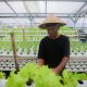 Warga Kota Bandung didorong menekuni urban farming