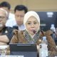 Anggota Koite I DPD RI Aanya Rina Casmayanti