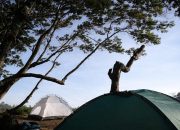 Camping di Alam Terbuka, Pilihan Tepat untuk Cari Suasana Baru