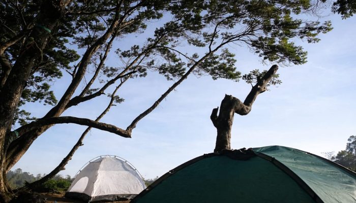 Camping di Alam Terbuka, Pilihan Tepat untuk Cari Suasana Baru