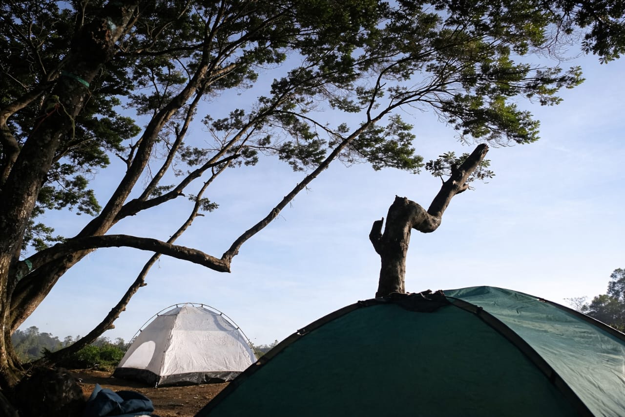 Ilustrasi Camping
