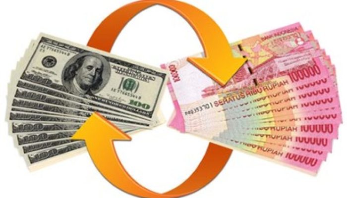 Dolar Naik, Untung Apa Buntung?