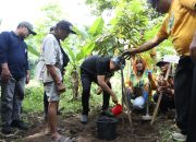 Menjaga Mata Air, Menanam Harapan di Tasikmalaya Melalui Arboretum Edukasi