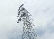 LSM Lodaya: Tower SUTET Diduga Ilegal Berdiri di Kawasan Hutan Karawang