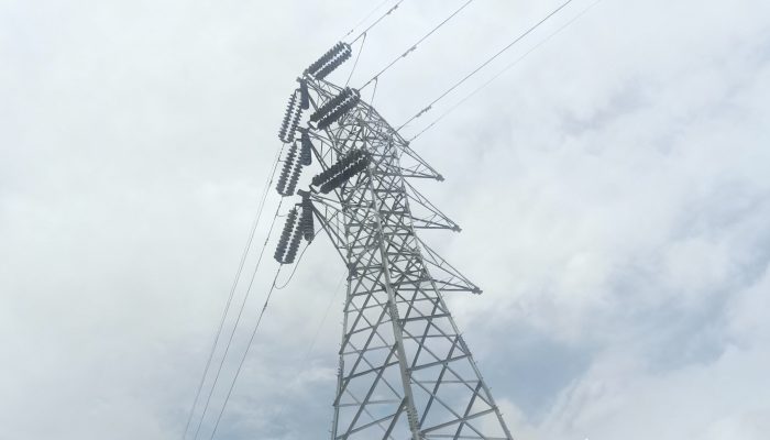 LSM Lodaya: Tower SUTET Diduga Ilegal Berdiri di Kawasan Hutan Karawang