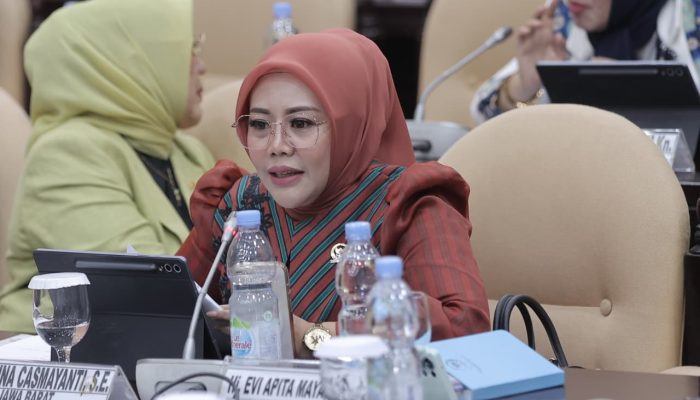 Dukung Aspirasi ADPSI dan APPSI, Teh Aanya: Tolak Pemangkasan TKD!