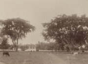 Sekilas Menyimak Sejarah Garut