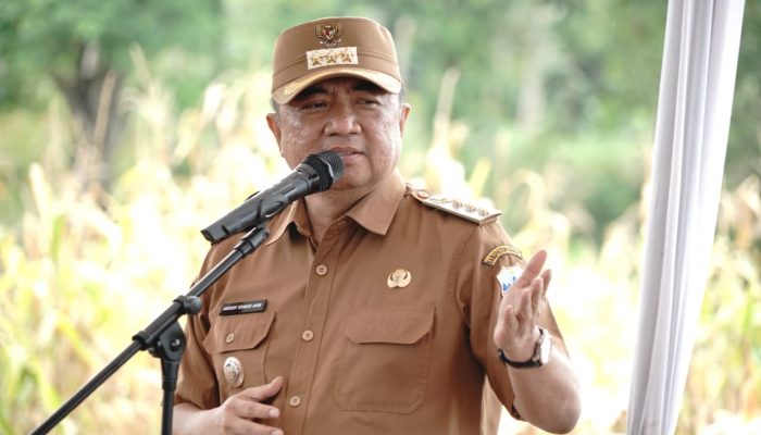 Panen Raya Jagung Garut Perkuat Ketahanan Pangan