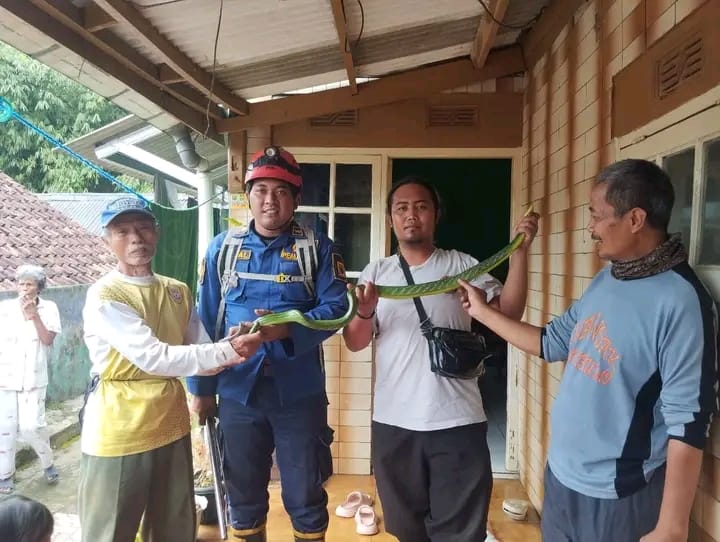 Damkar Sukabumi