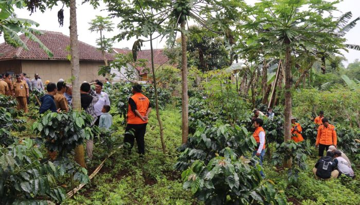 Mitigasi Longsor, Relawan Garut Tanam 5.000 Pohon Cijaringao