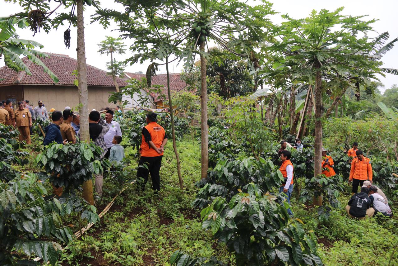 Rentan Tanam Pohon