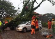 Angin Kencang Terjang Tasik, Pohon Tumbang Timpa Mobil