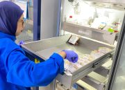 Stok Darah PMI Sukabumi Menipis