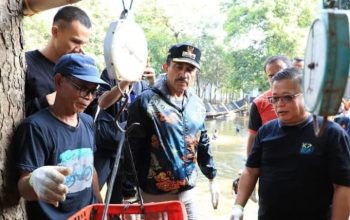 Berburu Ikan Sapu-sapu