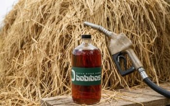 Pemerintah Minta Uji Ketat Bobibos, Status BBN atau BBM Belum Jelas