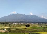 Hembusan Dan Tremor Non Harmonik Dominasi Kegempaan Gunung Merapi