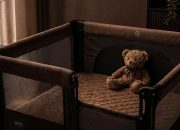 Dugaan Kekerasan di Daycare Little Aresha, KPAI Desak Penutupan Permanen