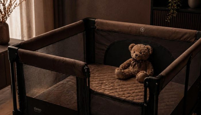 Dugaan Kekerasan di Daycare Little Aresha, KPAI Desak Penutupan Permanen