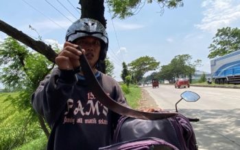 Pemudik Korban Begal Menunjukan Sarung Clurit Pembegal