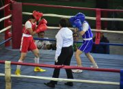 Bupati Dony Buka Turnamen Boxing Bupati Cup 2026, Dorong Generasi Muda Hidup Sehat