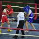 Bupati Dony Buka Turnamen Boxing Bupati Cup 2026, Dorong Generasi Muda Hidup Sehat