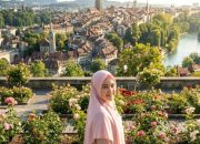 Peran Diaspora dalam Demokrasi Indonesia Baru