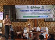 Demplot KSP Digenjot, Garut Bidik Lonjakan Hasil Padi