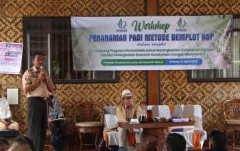 Demplot KSP Digenjot, Garut Bidik Lonjakan Hasil Padi