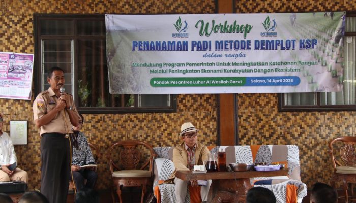 Demplot KSP Digenjot, Garut Bidik Lonjakan Hasil Padi