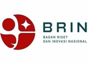 BRIN