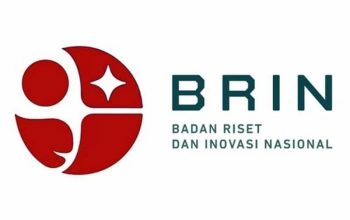 BRIN