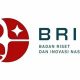 BRIN