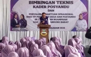 DPMD KBB Guyur Posyandu dengan Bantuan, Kader Ngamprah Digenjot