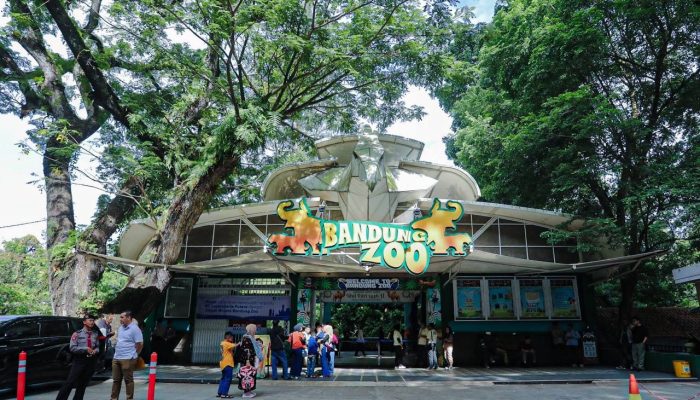 Farhan Deg-degan, Peminat Kelola Bonbin Bandung Minim