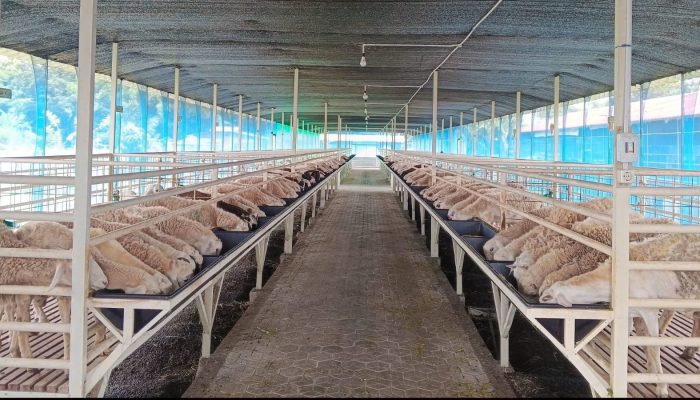 Dispernakan KBB Imbau Warga Pilih Hewan Kurban Berlabel Sehat