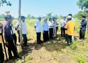 Kemensos Verifikasi Lahan Sekolah Rakyat Garut