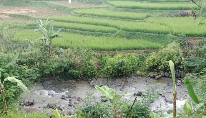KBB Siaga El Nino 2026, Pertanian dan Ketahanan Pangan Jadi Proritas