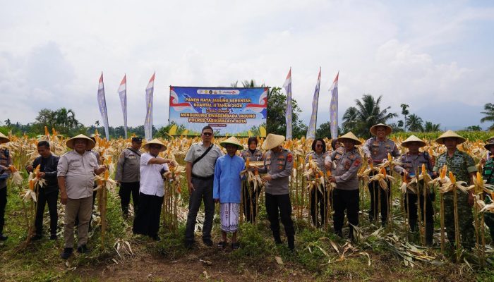 Dorong Ketahanan Pangan, Polres Tasik Kota Panen 10 Ton Jagung di Cisayong