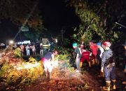 Pohon Besar Tumbang Putus Jalur Nasional Palabuhanratu